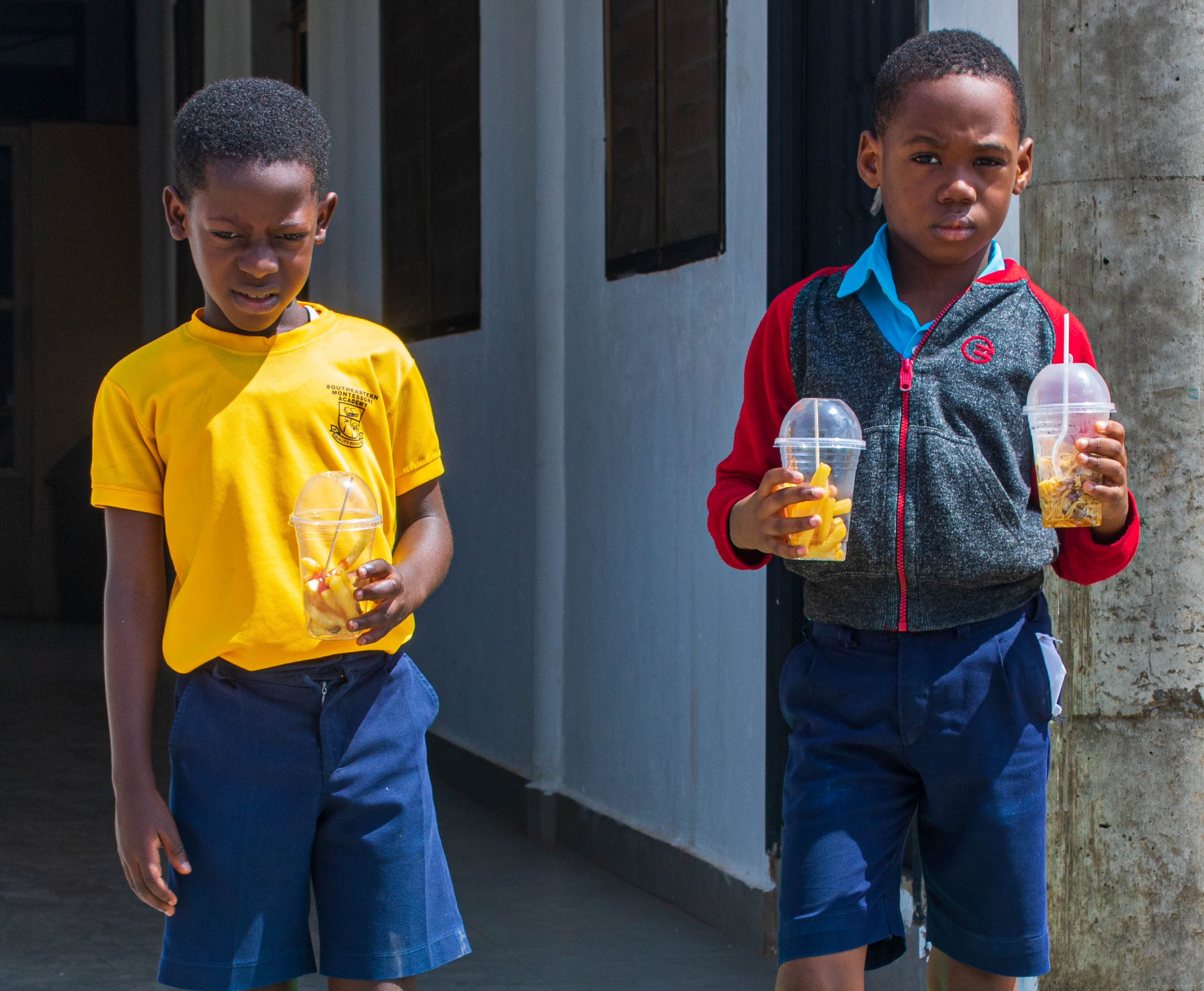 Elementary Program Research